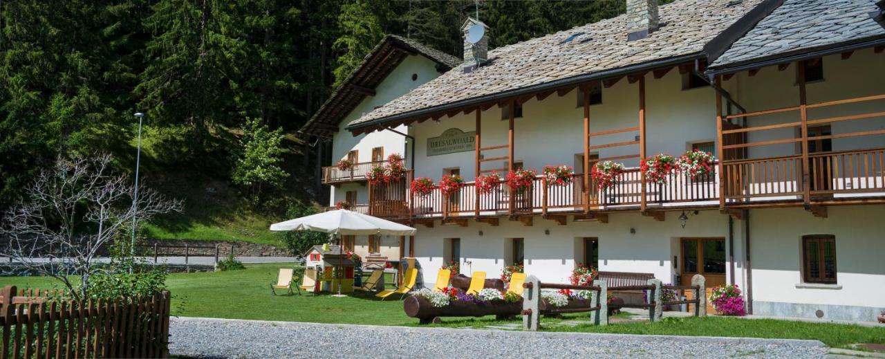 Drésalwoald Bed and Breakfast Gressoney-Saint-Jean Esterno foto